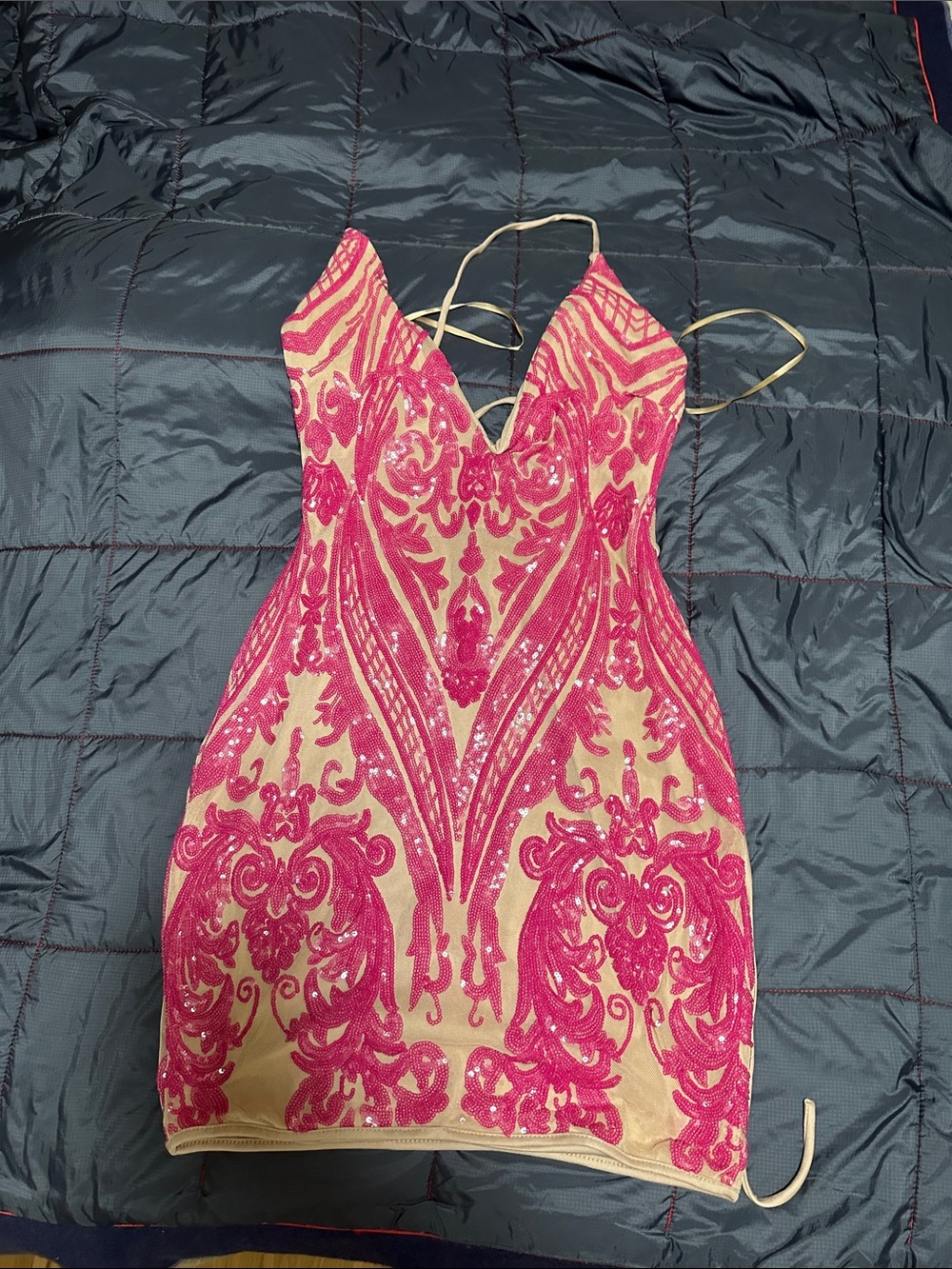 Windsor Pink Sequin Embroidered Mini Dress